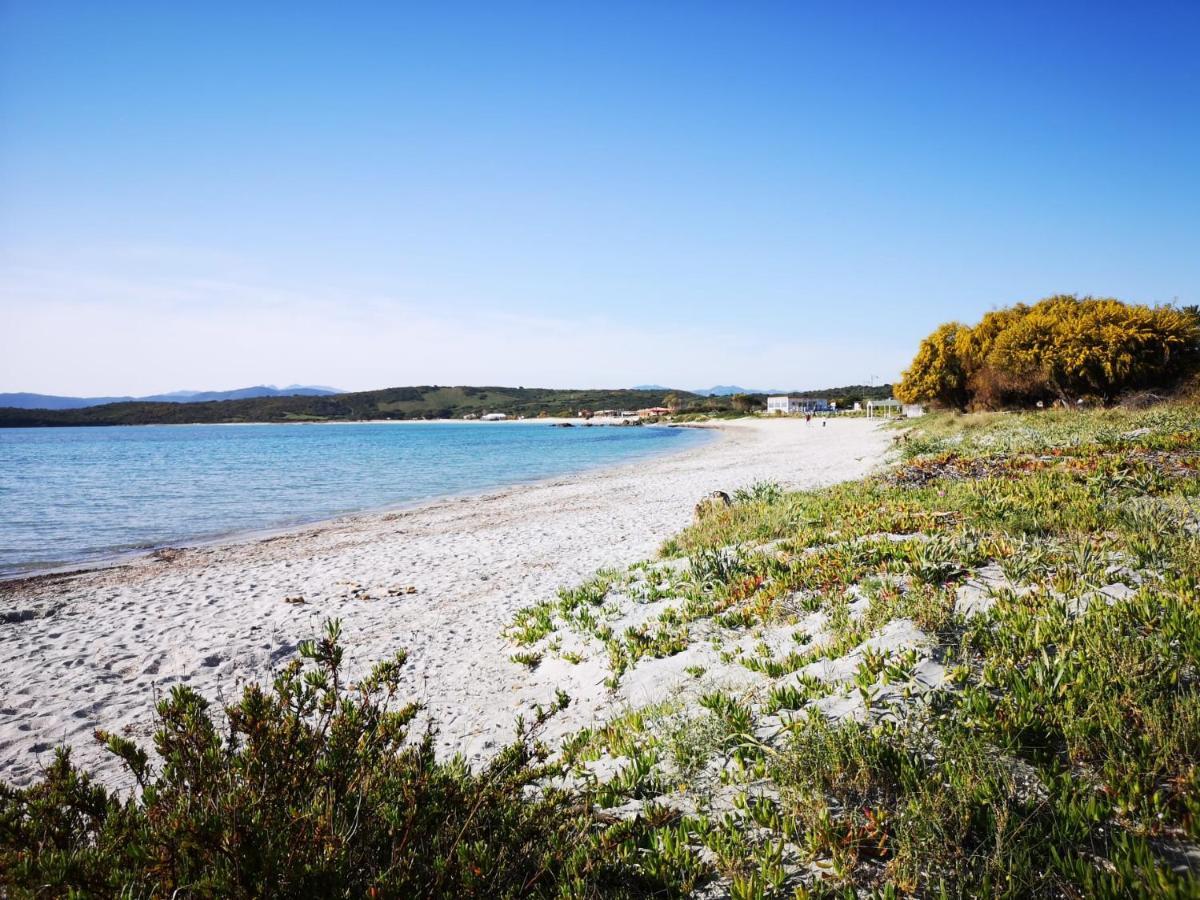 Insardinia House Trilocale A 200Mt Dalla Spiaggia 奧爾比亞 外观 照片